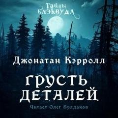 Грусть деталей - Кэрролл Джонатан