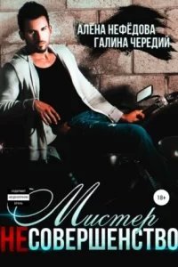 Мистер несовершенство - Галина Чередий, Алёна Нефёдова