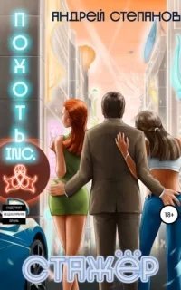 Похоть Inc. Книга 4 - Андрей Степанов