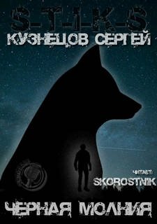S-T-I-K-S. Чёрная Молния - Кузнецов Сергей