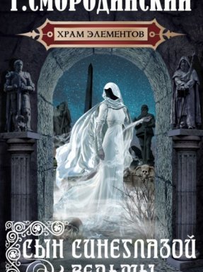 Храм Элементов 1. Сын синеглазой ведьмы - Георгий Смородинский