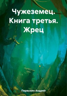 Чужеземец. Книга третья. Жрец - Первухин Андрей