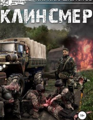 Клинсмер - Кирилл Шарапов