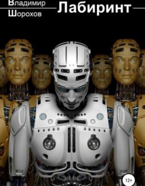 Лабиринт - Владимир Шорохов