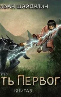 Убить первого. Книга 3 - Иван Шайдулин