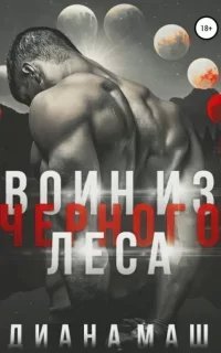 Мир Трибунала 4. Воин из Черного леса - Диана Маш