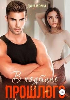 В паутине прошлого - Илина Дина