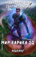 Мир Карика 12. Осколки - Сергей Савинов, Антон Емельянов