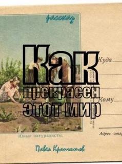 Как прекрасен этот мир - Крапчитов Павел