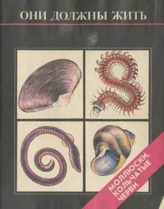 Моллюски и кольчатые черви - Кочетова Надежда, Парамонова Ирина