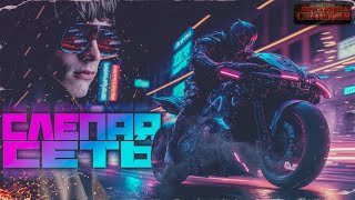 Слепая сеть - Вишняков Борис