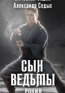 Сын ведьмы 2. Ронин - Александр Седых, Вячеслав Седых