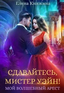 Сдавайтесь, мистер Уэйн! или Мой волшебный арест - Княжина Екатерина