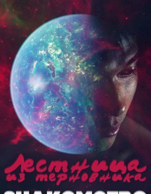 Лестница из Терновника 1. Знакомство - Макс Далин