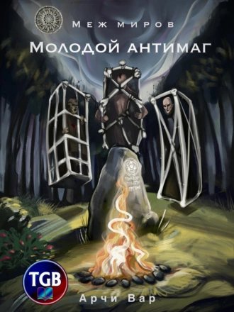 Меж миров. Молодой антимаг - Вар Арчи
