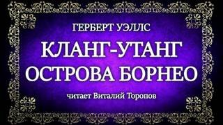 Кланг-утанг острова Борнео - Уэллс Герберт