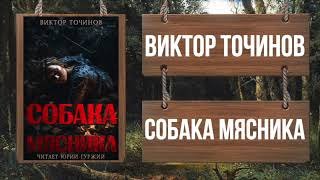 Собака мясника - Точинов Виктор