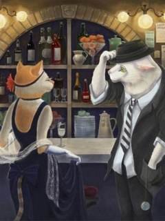 Дикие кошечки - Амелькина Юлия