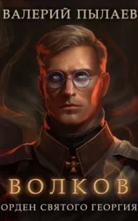 Волков 3. Орден Святого Георгия - Валерий Пылаев