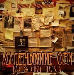 Кусочки пазла - Полинский Стас