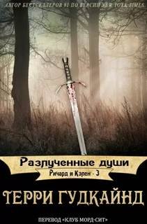 Разлученные души - Гудкайнд Терри