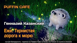 Ежи. Тернистая дорога к морю - Казанский Геннадий