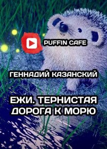 Ежи. Тернистая дорога к морю