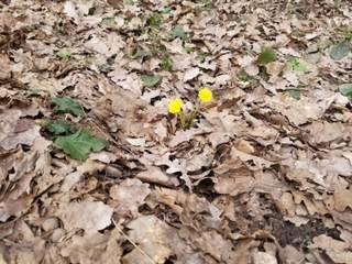 Рефлектор - Катыкова Ирина