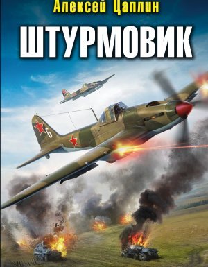 Штурмовик 2. Минута до цели - Алексей Цаплин