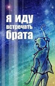 Великий Кристалл. Я иду встречать брата - Владислав Крапивин