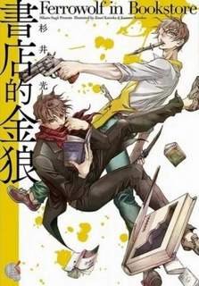 Волк в книжной лавке - Сугии Хикару