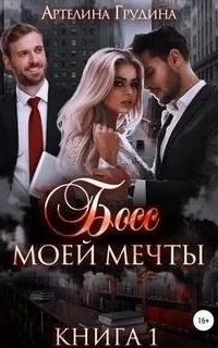 Босс моей мечты. Книга 1 - Артелина Грудина
