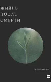 Жизнь после смерти - Лиза Илвеснен