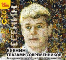 Есенин глазами современников - Есенин Сергей