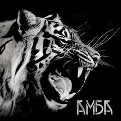 Амба - Казанцев Сергей