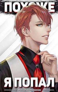 Похоже, я попал. Книга 1 - Новиков Николай