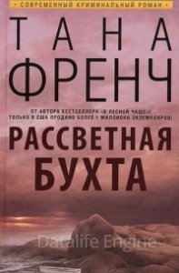 Дублин. Отдел убийств 4. Рассветная бухта - Тана Френч