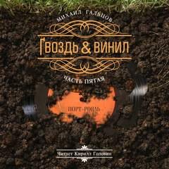 Гвоздь и винил - Гальцов Михаил