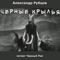 Черные крылья - Александр Рубцов