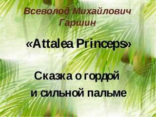 Attalea princeps - Гаршин Всеволод