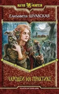 Записки маленькой ведьмы 4. Чародеи на практике - Елизавета Шумская
