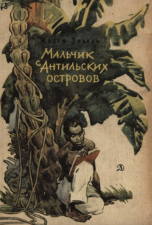 Мальчик с Антильских островов
