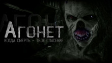 Агонет